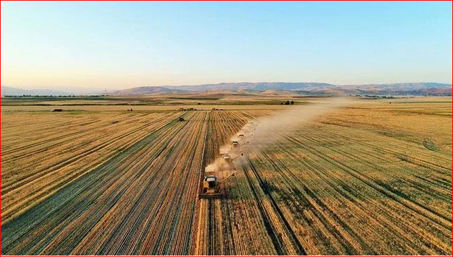 2021-2022 İller Arası Rekabet Endeks'i açıklandı, Konya tarımda zirveyi bırakmadı