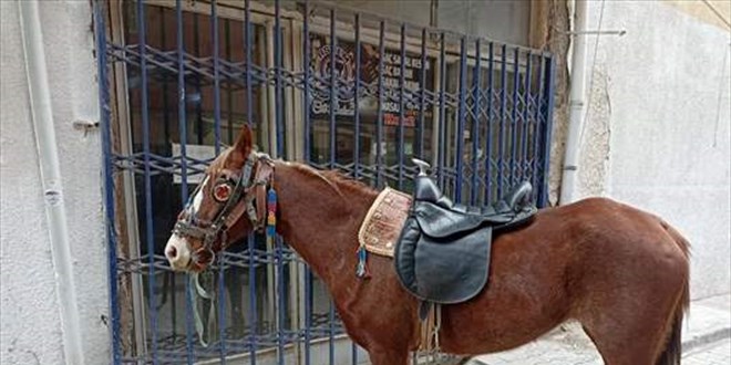 Konya'da alkollü olarak atıyla caddede dolaşan kişiye 10 bin 111 lira ceza